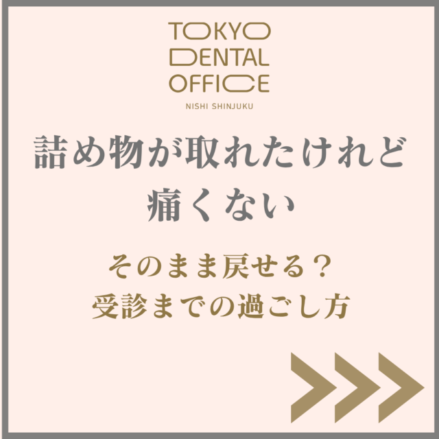 歯列模型と、外れた詰め物を保管した透明なケース